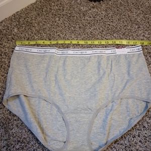 Cacique NWT Cotton Panties Sz. 26/28